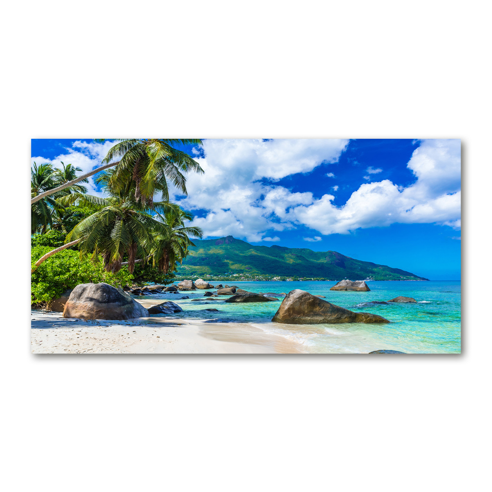 Üvegfotó Seychelles strand