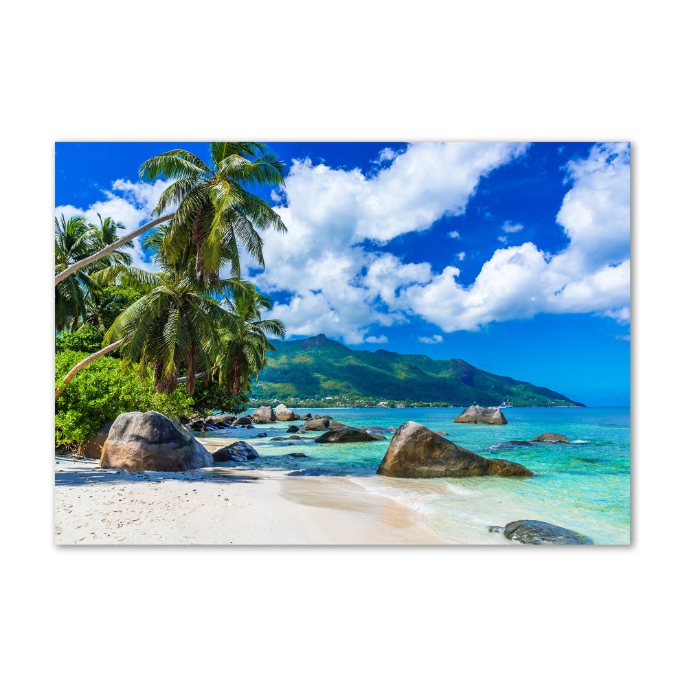 Üvegfotó Seychelles strand