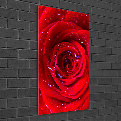Egyedi üvegkép Vörös rózsa