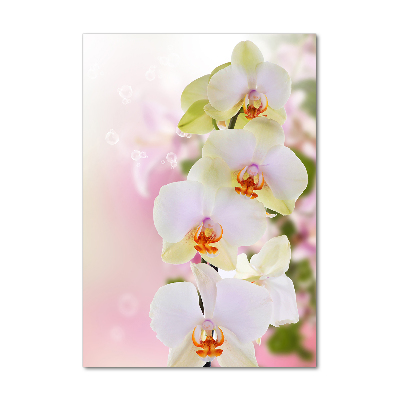 Egyedi üvegkép Fehér orchidea