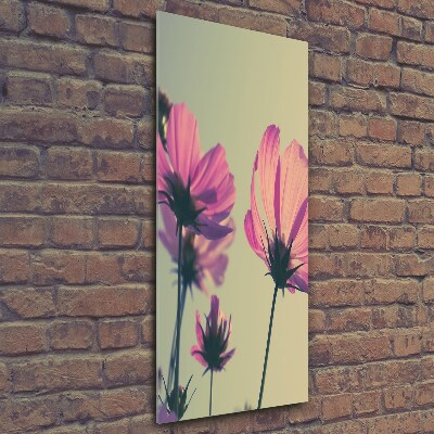 Üvegkép falra Rózsaszín virágok