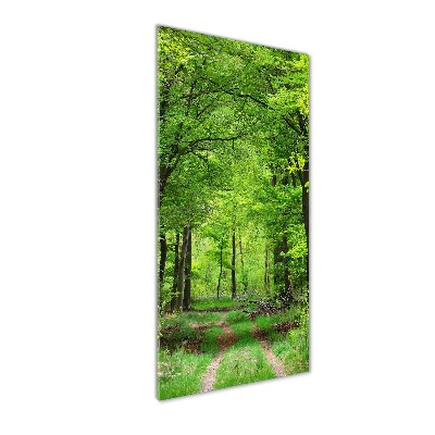 Üvegfotó Zöld erdő