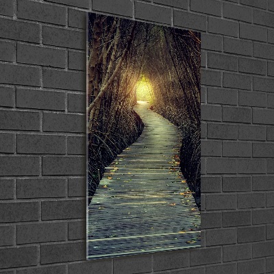 Üvegfotó Az út az erdőben