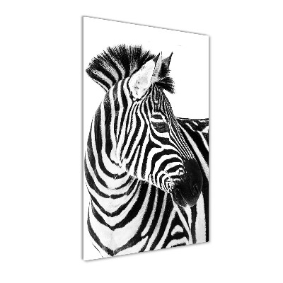 Üvegkép Zebra hó