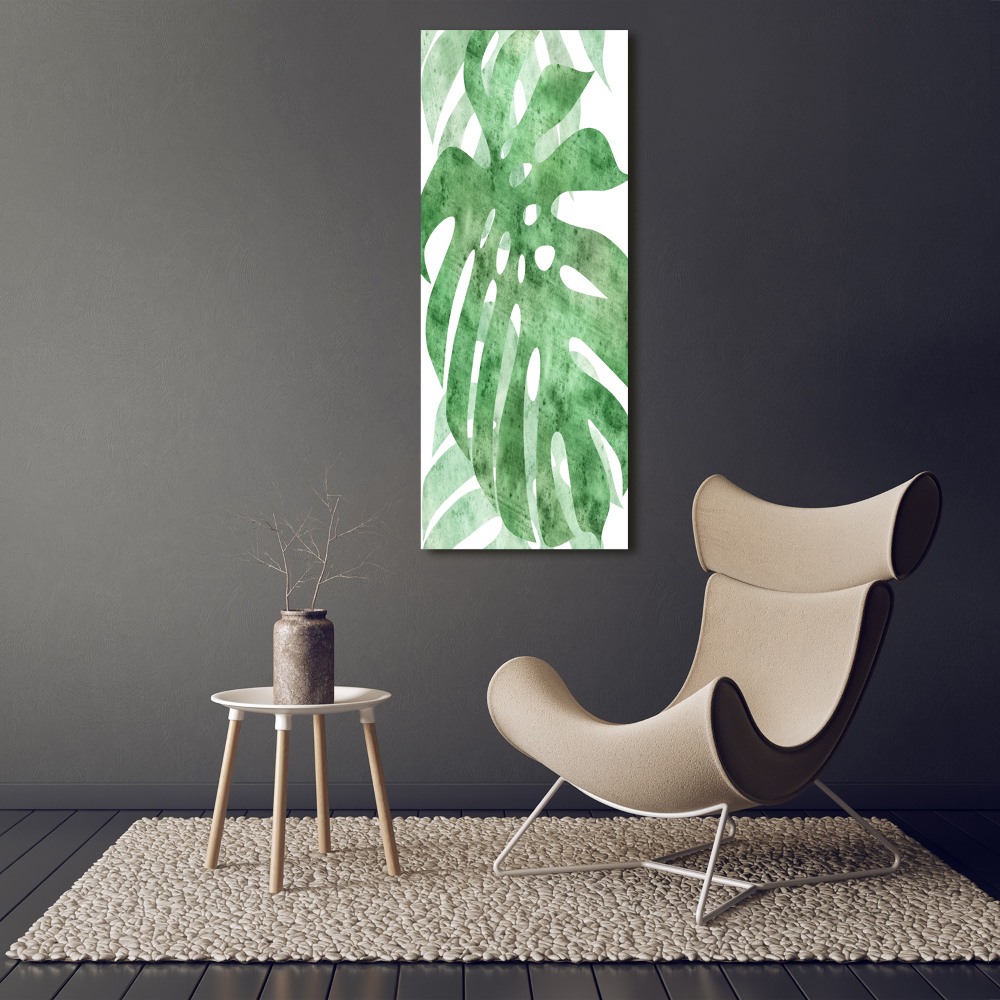 Photo kép üveg Monstera