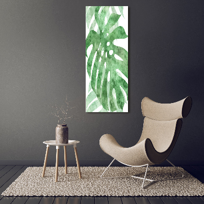 Photo kép üveg Monstera