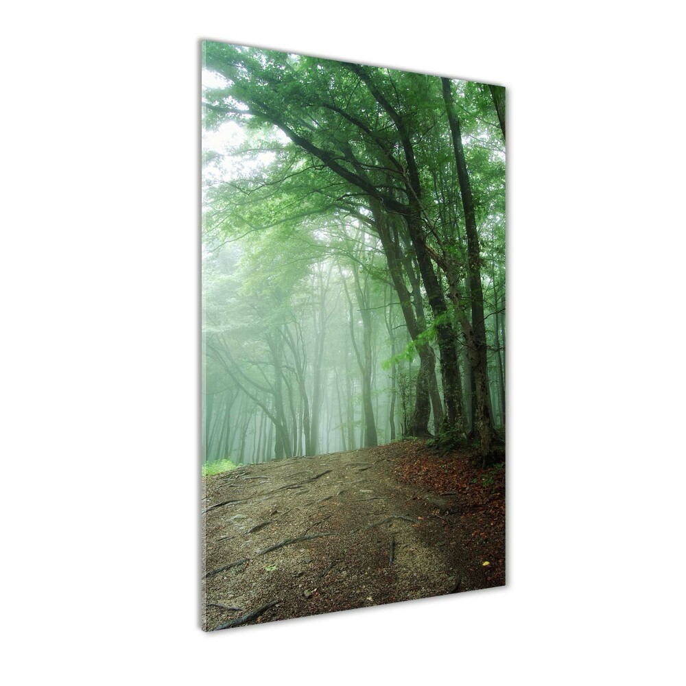 Üvegfotó Köd az erdőben
