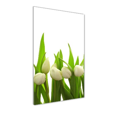 Egyedi üvegkép Fehér tulipán