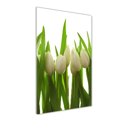 Egyedi üvegkép Fehér tulipán