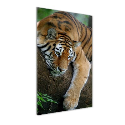 Üvegkép Tiger a fán