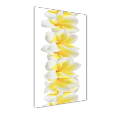 Egyedi üvegkép Plumeria