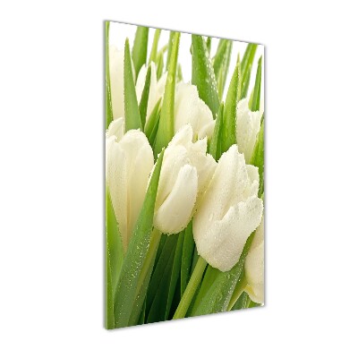 Egyedi üvegkép Fehér tulipán