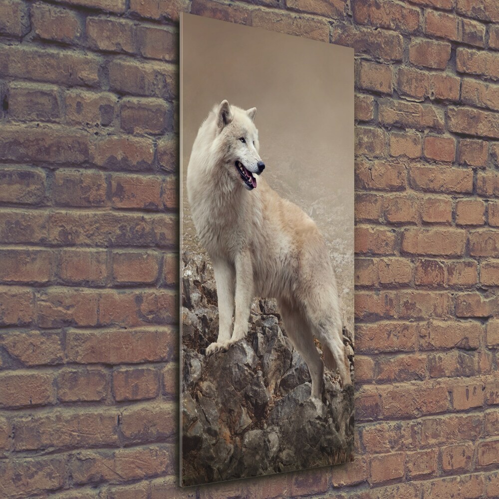 Üvegkép Wolf egy szikla