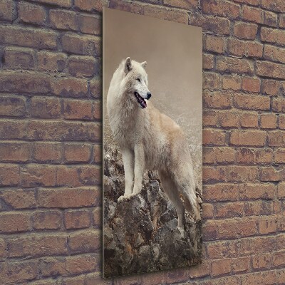 Üvegkép Wolf egy szikla