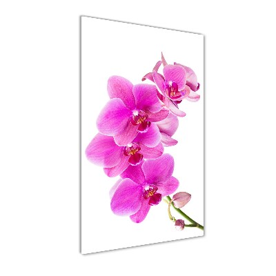 Egyedi üvegkép Rózsaszín orchidea