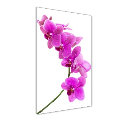 Egyedi üvegkép Rózsaszín orchidea