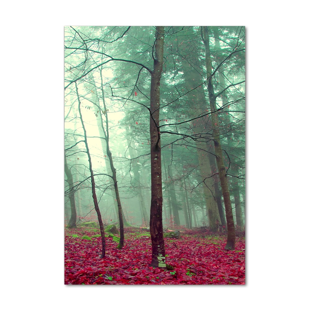 Üvegfotó Erdő ősszel