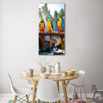 Üvegkép Papagájok ara