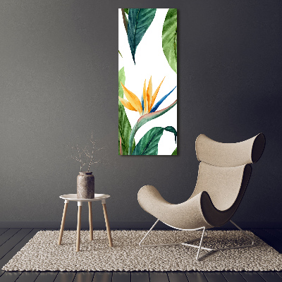 Photo kép üveg Strelitzia reginae