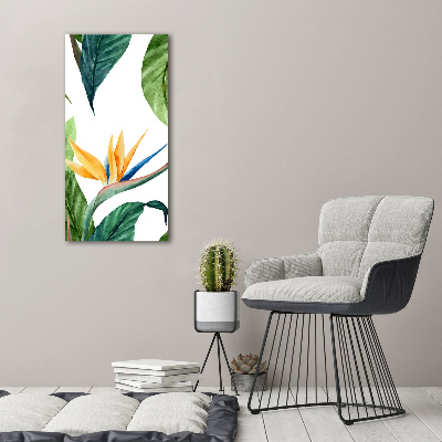 Photo kép üveg Strelitzia reginae