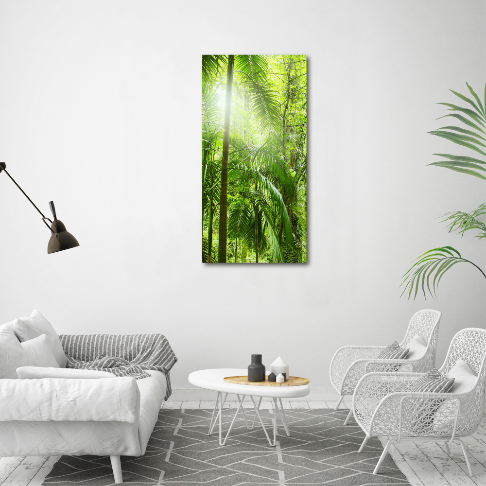 Üvegfotó Az esőerdő