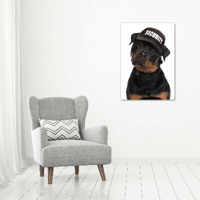 Üvegkép Rottweiler egy sapka