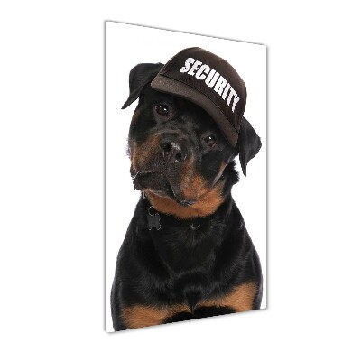 Üvegkép Rottweiler egy sapka