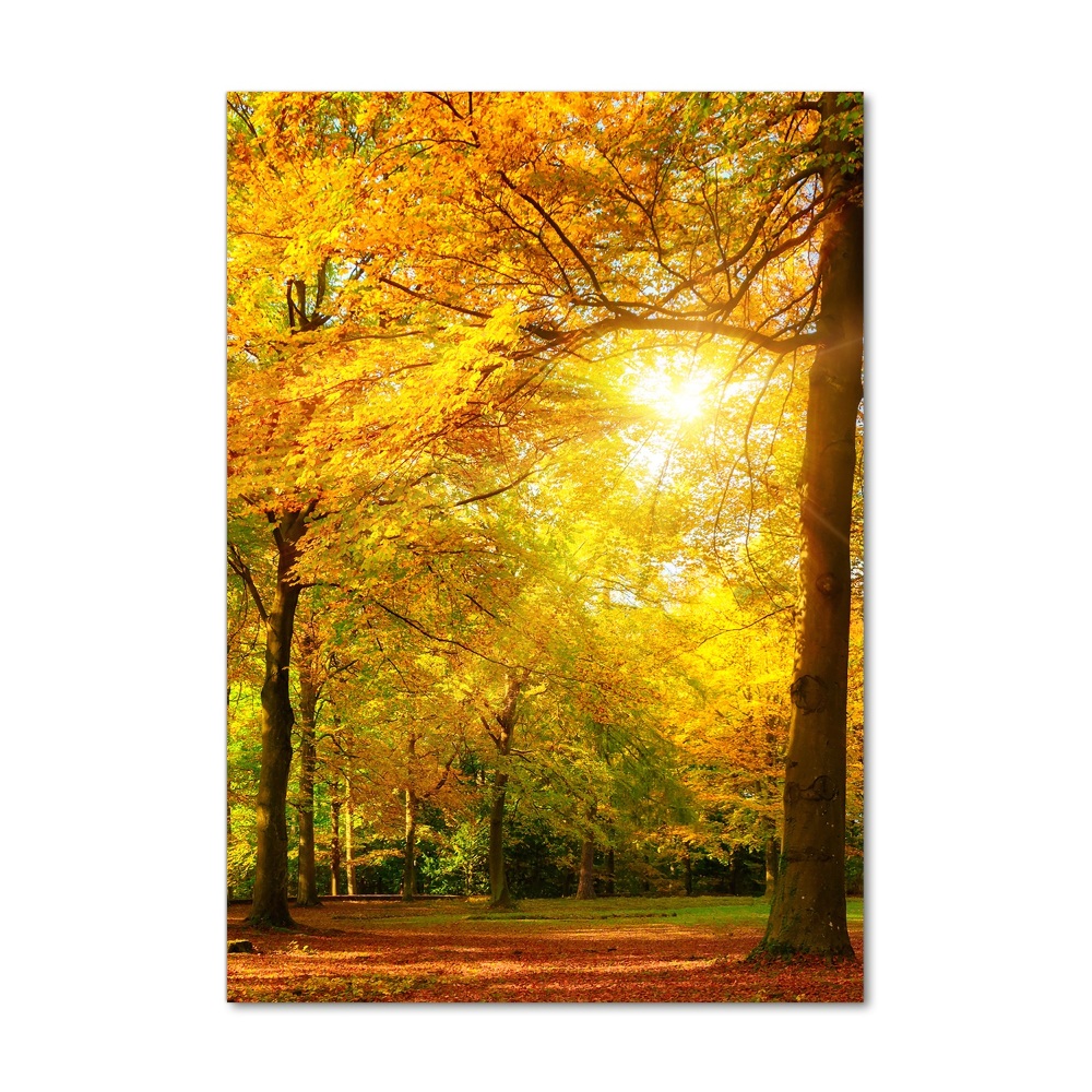 Üvegkép nyomtatás Erdő ősszel