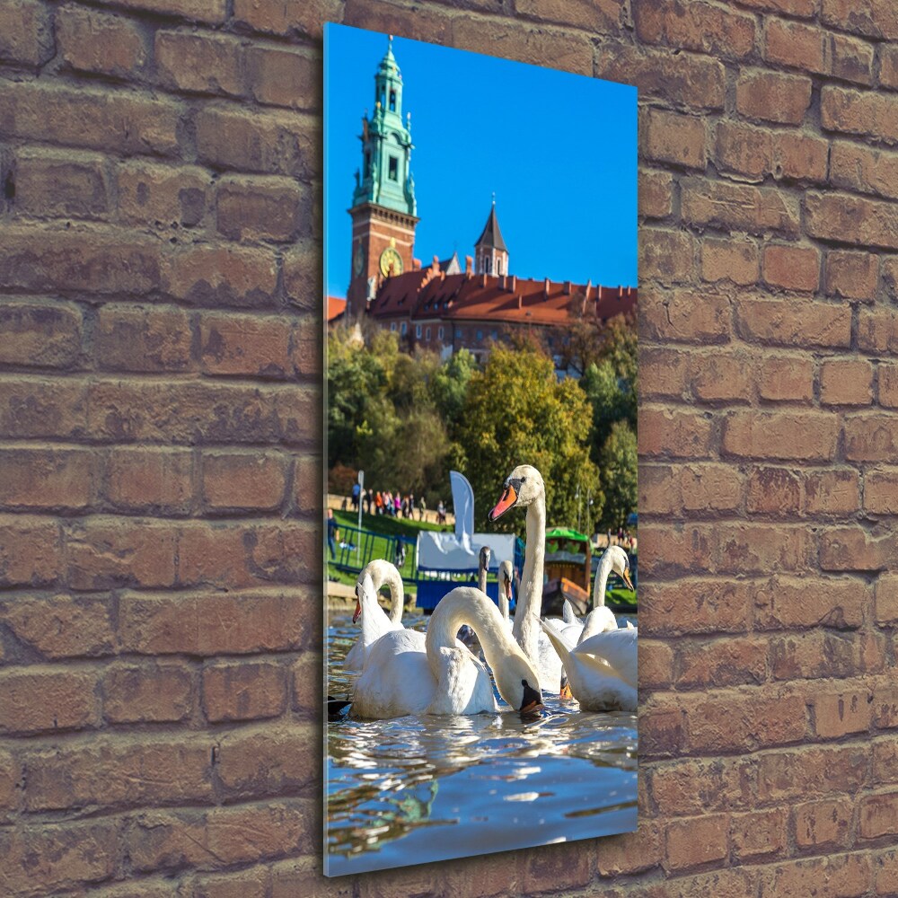 Üvegkép falra Krakkó lengyelország