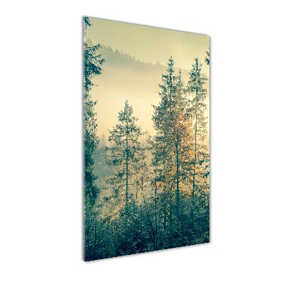 Üvegkép nyomtatás Köd az erdőben