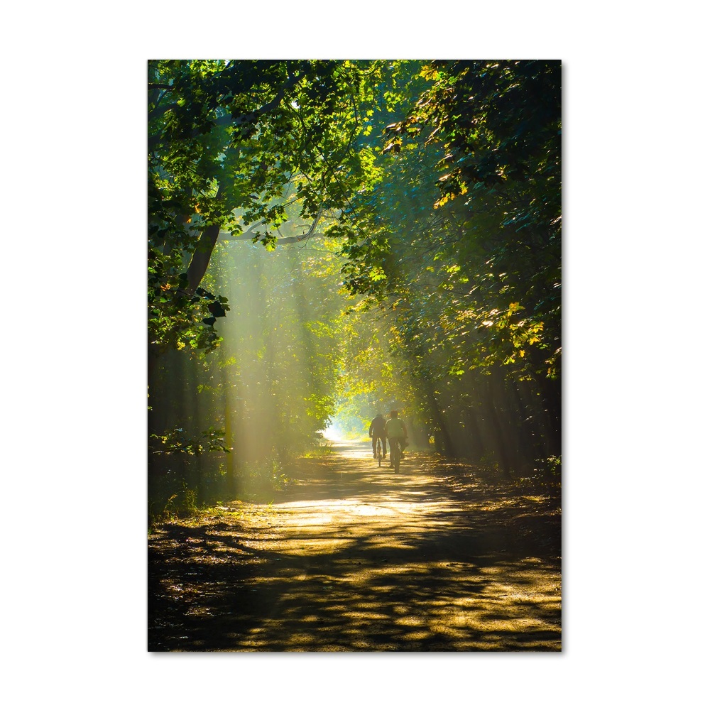 Üvegkép nyomtatás Az út az erdőben