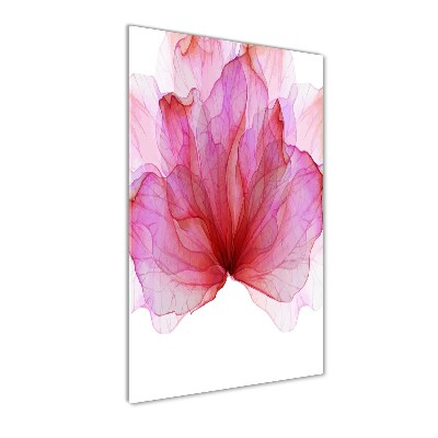 Photo kép üveg Rózsaszín virág