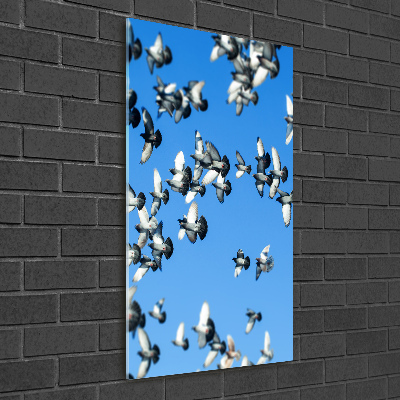 Üvegkép nyomtatás A galambok az égen