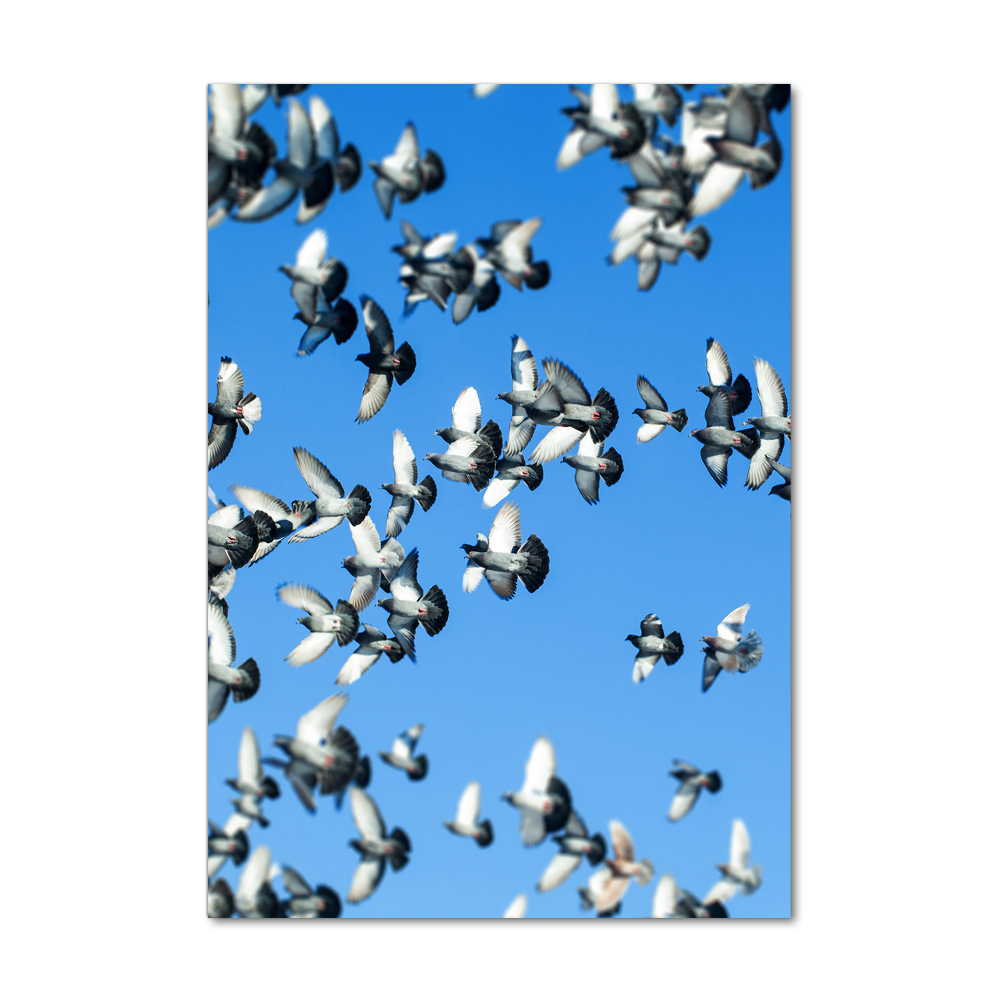 Üvegkép nyomtatás A galambok az égen