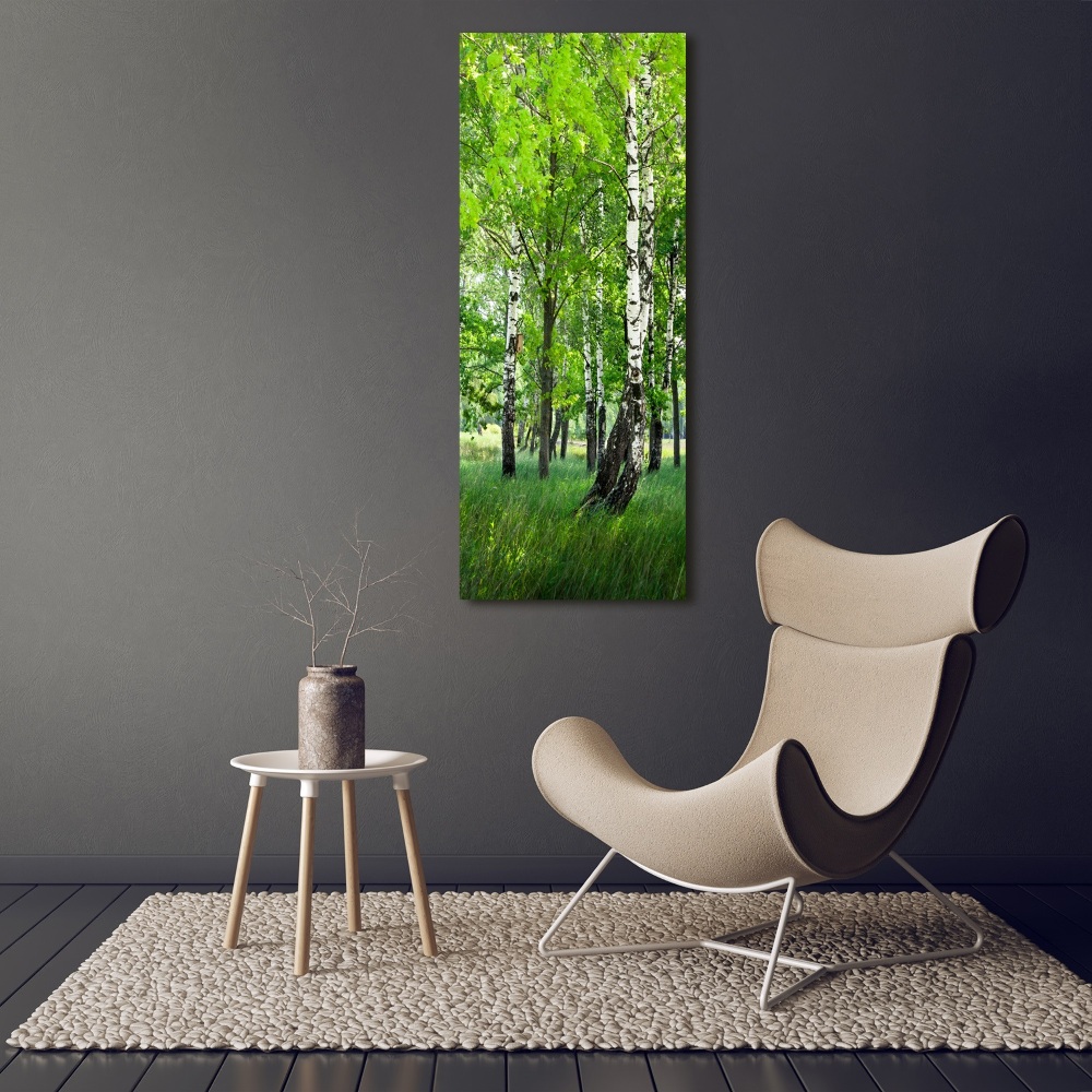 Üvegkép nyomtatás Nyírfa erdő