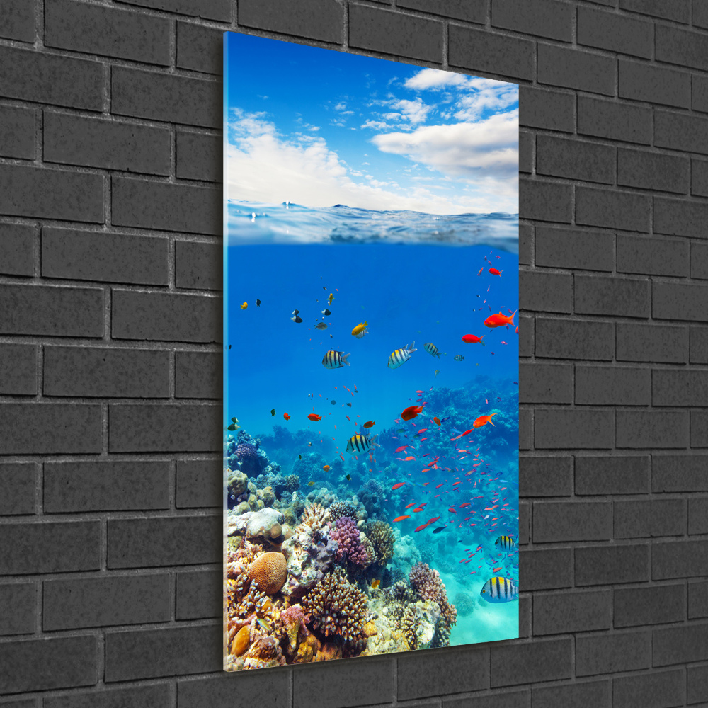 Üvegkép nyomtatás Korallzátony