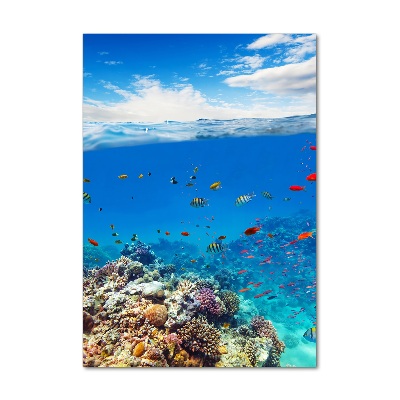 Üvegkép nyomtatás Korallzátony