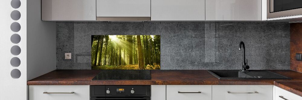 Konyhai dekorpanel Egy fenyves erdőben