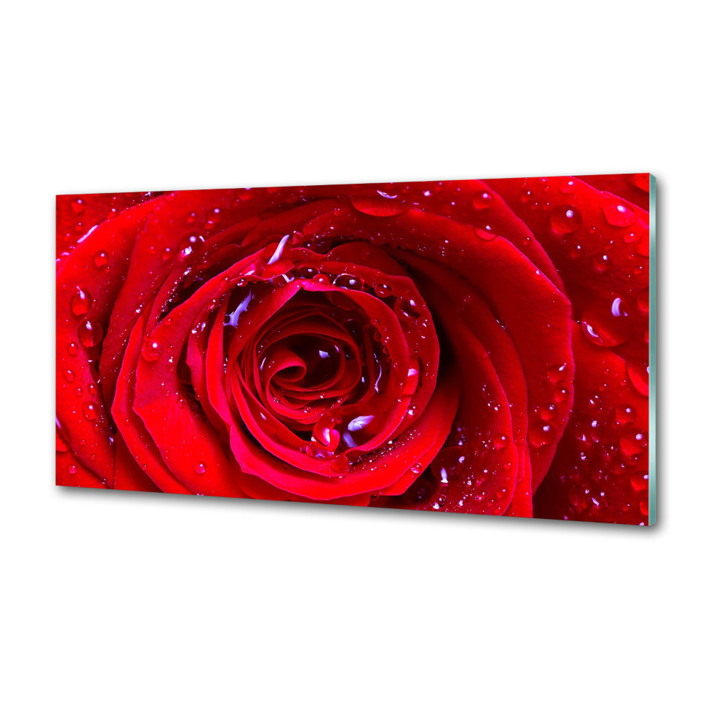 Konyhai falburkoló panel Rózsa virág