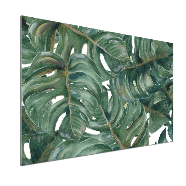 Konyhai hátfalpanel Monstera