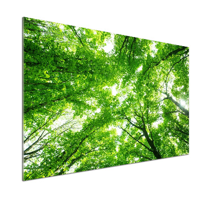 Konyhai falburkoló panel Zöld erdő