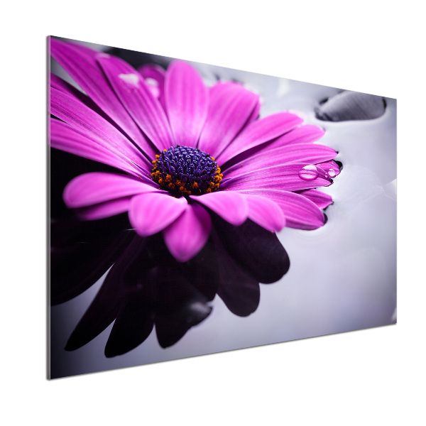 Konyhai falburkoló panel Gerbera