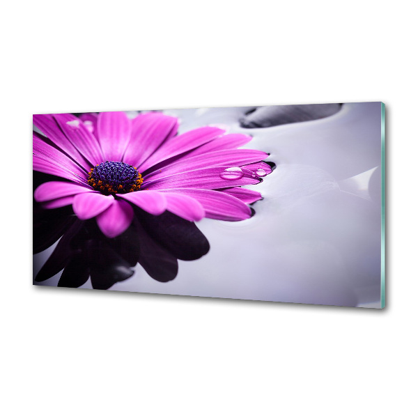 Konyhai falburkoló panel Gerbera