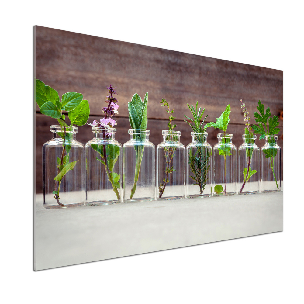 Konyhai falburkoló panel Növények tégelyek
