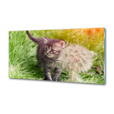 Konyhai fali panel Kitten pitypang