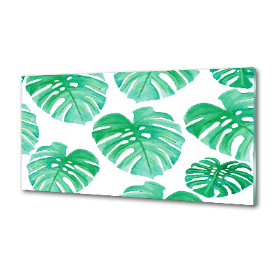 Konyhai hátfalpanel Monstera