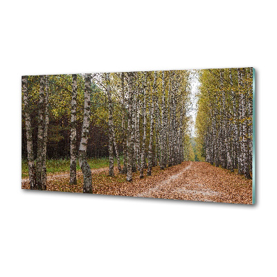 Konyhai dekorpanel Nyír alley