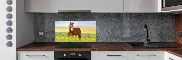 Konyhai fali panel Barna ló
