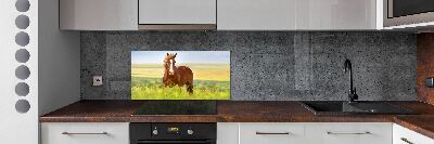 Konyhai fali panel Barna ló