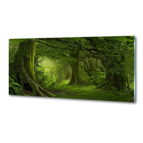 Konyhai dekorpanel Trópusi dzsungel